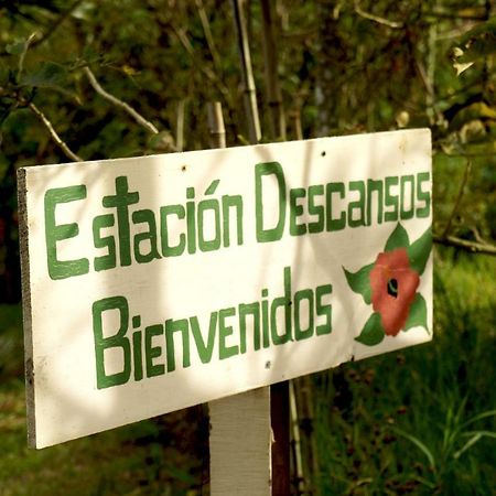 Finca Estacion Descansos Bed and Breakfast Paraíso Buitenkant foto
