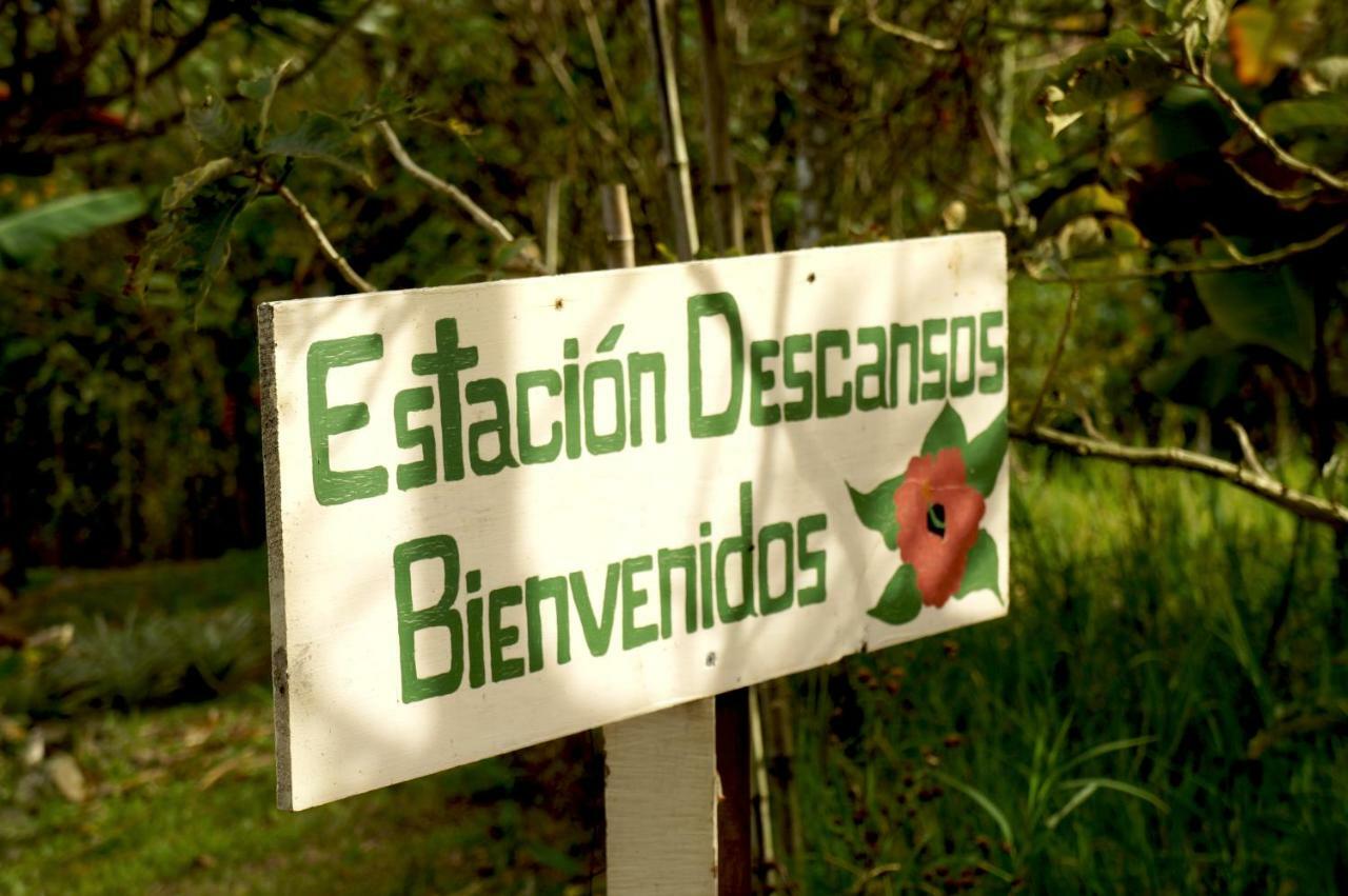 Finca Estacion Descansos Bed and Breakfast Paraíso Buitenkant foto