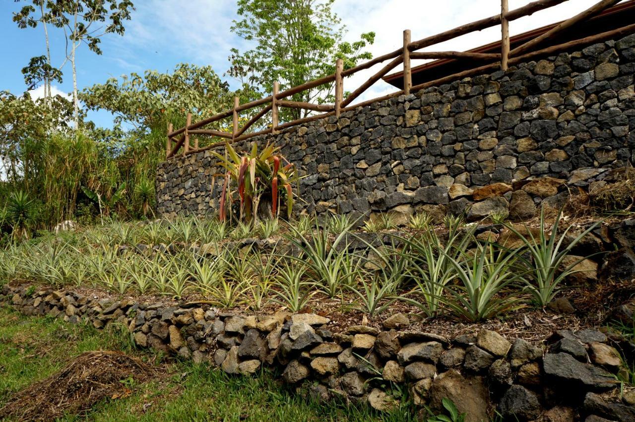 Finca Estacion Descansos Bed and Breakfast Paraíso Buitenkant foto